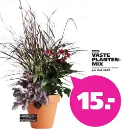 Ranzijn Vaste planten-mix aanbieding