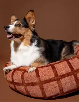 Wehkamp Dogguo Hondenmand rond CHECK-ROUND-BED-MOCHA/BROWN-M aanbieding