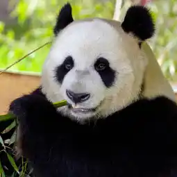 Etos Entreeticket Ouwehands Dierenpark aanbieding
