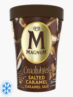 Flink Magnum Salted Caramel Pint aanbieding