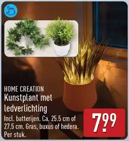 ALDI Home Creation Kunstplant met Ledverlichting aanbieding