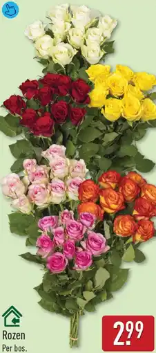 ALDI Rozen aanbieding