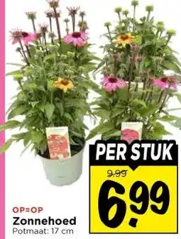 Vomar Voordeelmarkt Zonnehoed aanbieding