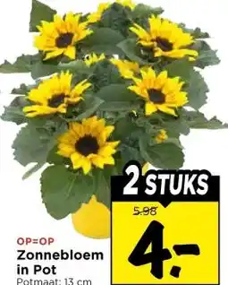 Vomar Voordeelmarkt Zonnebloem in Pot aanbieding