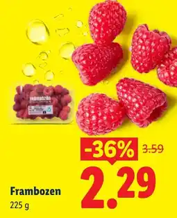 Lidl Frambozen aanbieding