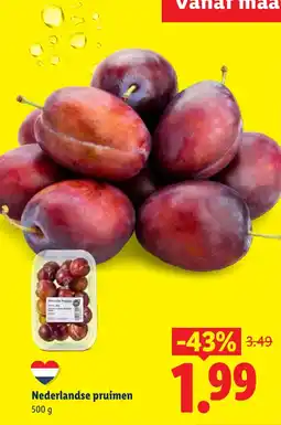 Lidl Nederlandse pruimen aanbieding