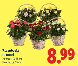 Lidl Rozenboeket in mand aanbieding