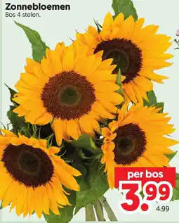 Dekamarkt Zonnebloemen aanbieding