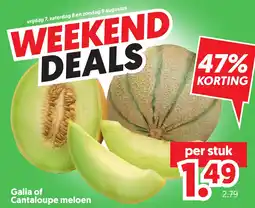 Dekamarkt Galia of Cantaloupe meloen aanbieding