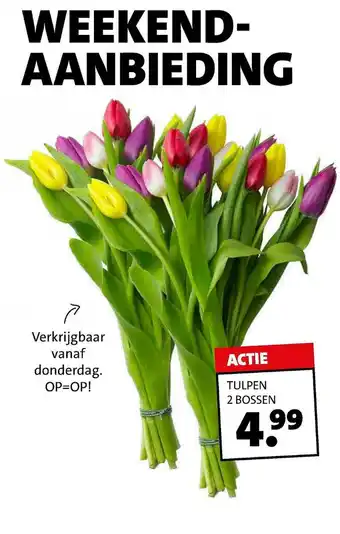 Intratuin Tulpen 2 Bossen aanbieding