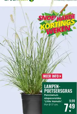 GroenRijk Greenrisk lampen poetsersgras aanbieding