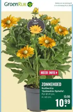 GroenRijk GroenRijk Zonnehoed aanbieding