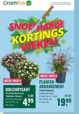 GroenRijk GroenRijk Bolchrysant aanbieding