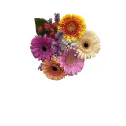 Albert Heijn AH Gemengde bloemen germini aanbieding