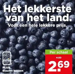 PLUS Blauwe bessen aanbieding