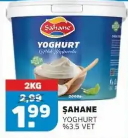 Sahan Supermarkten Sahane yoghurt aanbieding