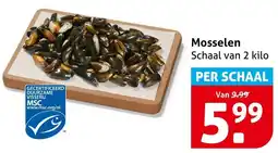 Hoogvliet Mosselen aanbieding