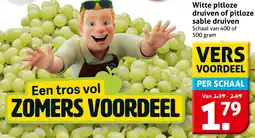 Hoogvliet Witte pitloze druiven of pitloze sable druiven aanbieding