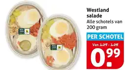 Hoogvliet Westland salade aanbieding