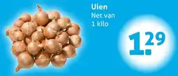 Hoogvliet Uien aanbieding