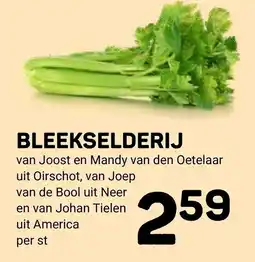Ekoplaza bleekselderij aanbieding