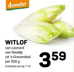 Ekoplaza demeter witlof aanbieding