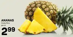 Ekoplaza ananas aanbieding
