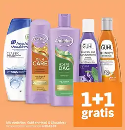 Albert Heijn Alle Andrélon, Guhl en Head & Shoulders aanbieding