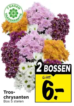 Vomar Voordeelmarkt Tros-chrysanten aanbieding