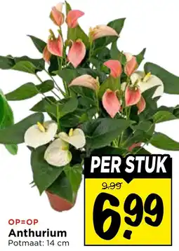 Vomar Voordeelmarkt Anthurium aanbieding