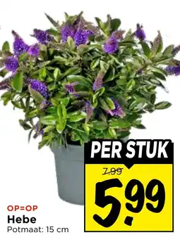 Vomar Voordeelmarkt Hebe aanbieding