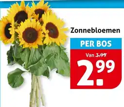 Hoogvliet Zonnebloemen aanbieding