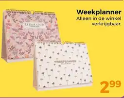 Trekpleister Weekplanner aanbieding