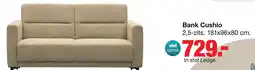 Budget Home Store Bank cushio aanbieding