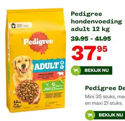 Welkoop Pedigree hondenvoeding adult aanbieding