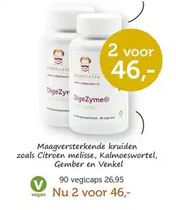 De Rode Pilaren Rodepilaren digezyme met herbs aanbieding