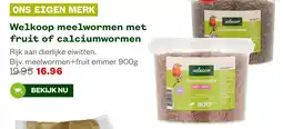 Welkoop Welkoop meelwormen met fruit aanbieding