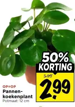 Vomar Voordeelmarkt Pannen- koekenplant aanbieding