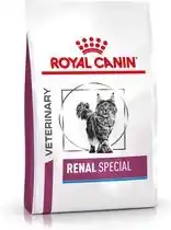 Bol.com Royal Canin Veterinary Diet Renal Special - Kattenvoer - 4 kg aanbieding