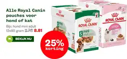 Welkoop Alle Royal Canin pouches voor hond of kat aanbieding