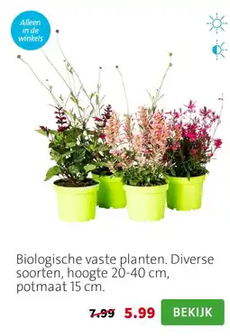 Intratuin Biologische vaste planten. aanbieding