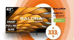 Expert Salora 43QFG6500 aanbieding