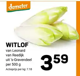 Ekoplaza WITLOF aanbieding