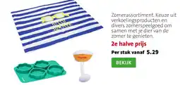 Intratuin Zomerassortiment aanbieding