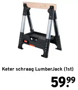GAMMA Keter schraag LumberJack (1st) aanbieding