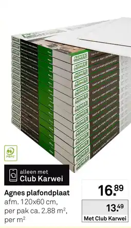 Karwei Agnes plafondplaat aanbieding