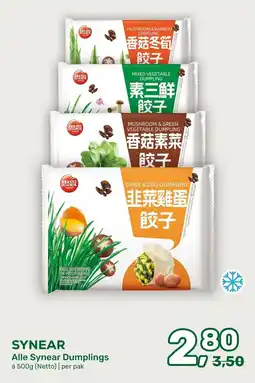 Amazing Oriëntal Syneare dumplings aanbieding
