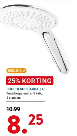 Kluswijs DOUCHEKOP CARBALLO aanbieding