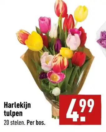 ALDI Harlekijn tulpen aanbieding