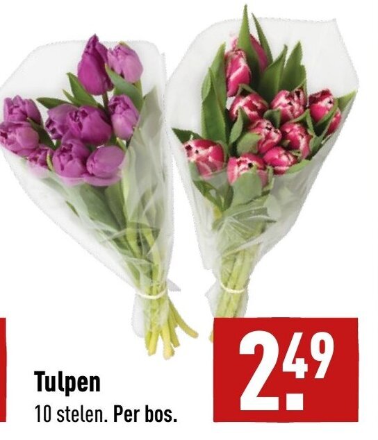 Tulpen aanbieding bij ALDI